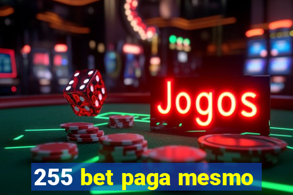 255 bet paga mesmo